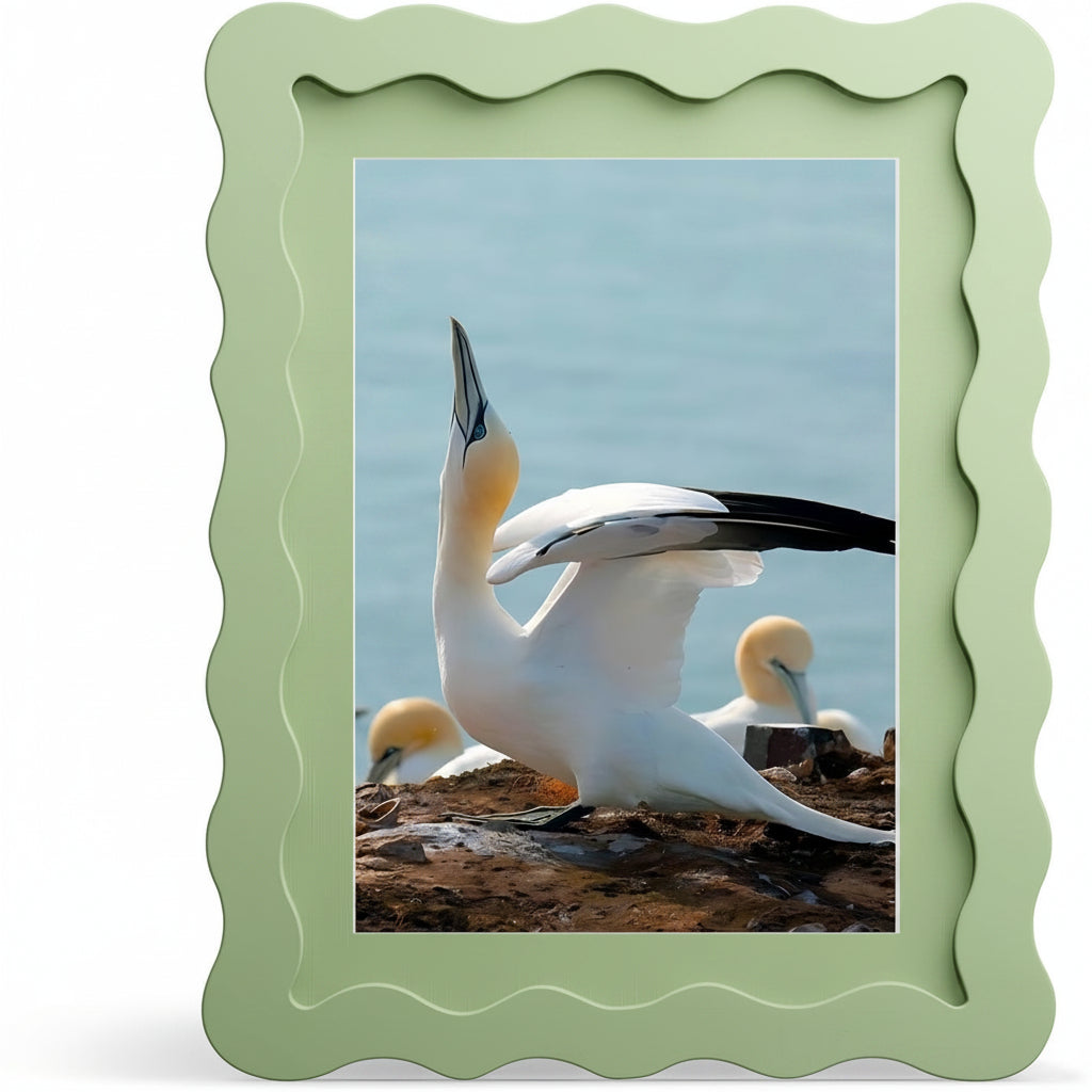 Blue picture frame with a photo of two birds on a rocky shore.